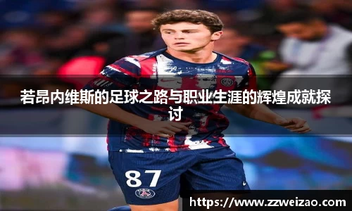 若昂内维斯的足球之路与职业生涯的辉煌成就探讨